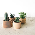 Ensemble de 4 mini-pots géométriques
