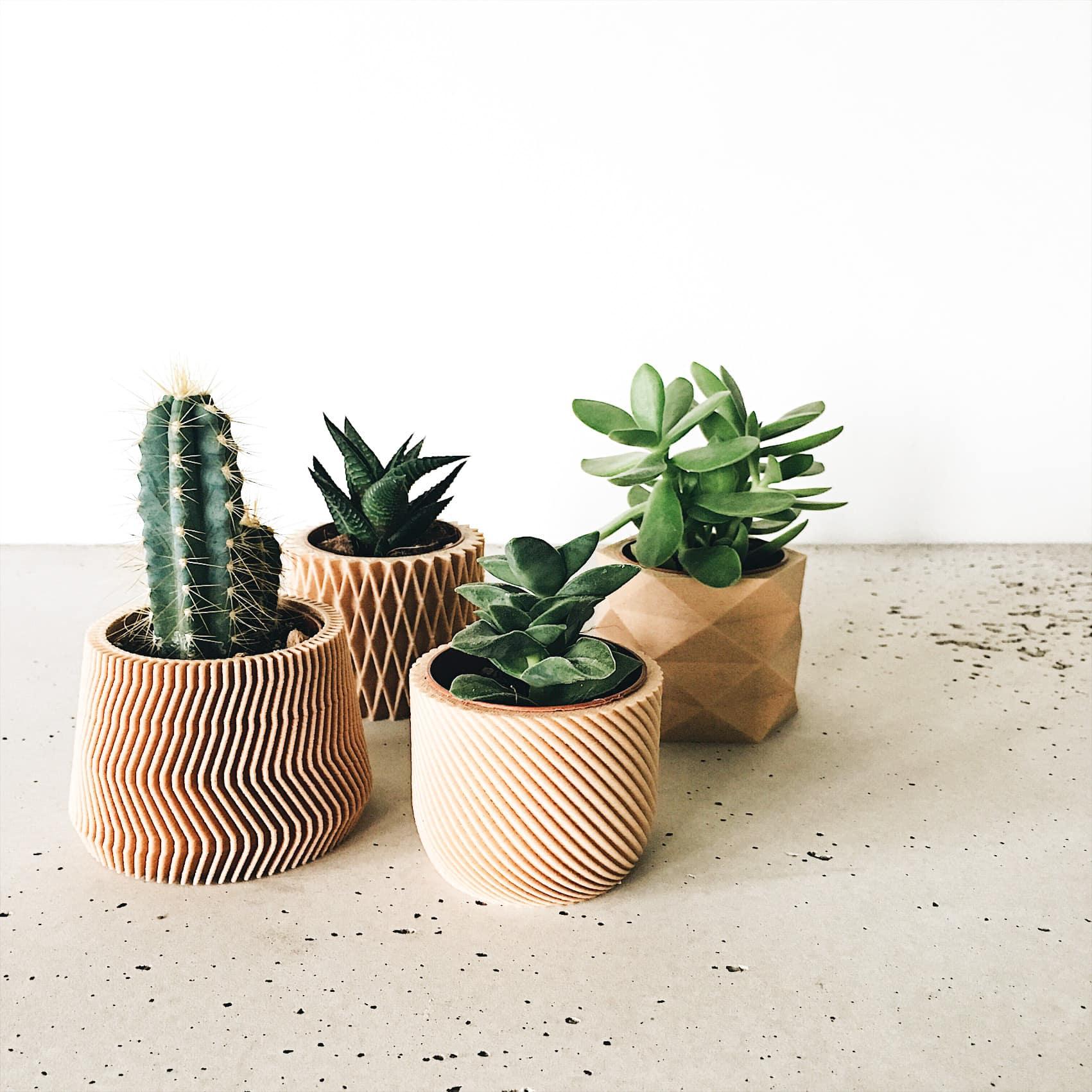 Ensemble de 4 mini-pots géométriques