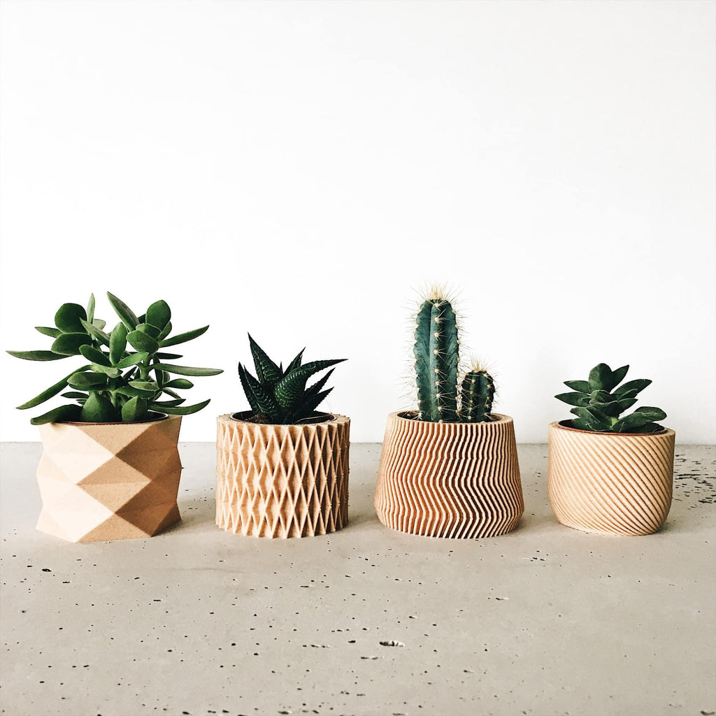 Ensemble de 4 mini-pots géométriques